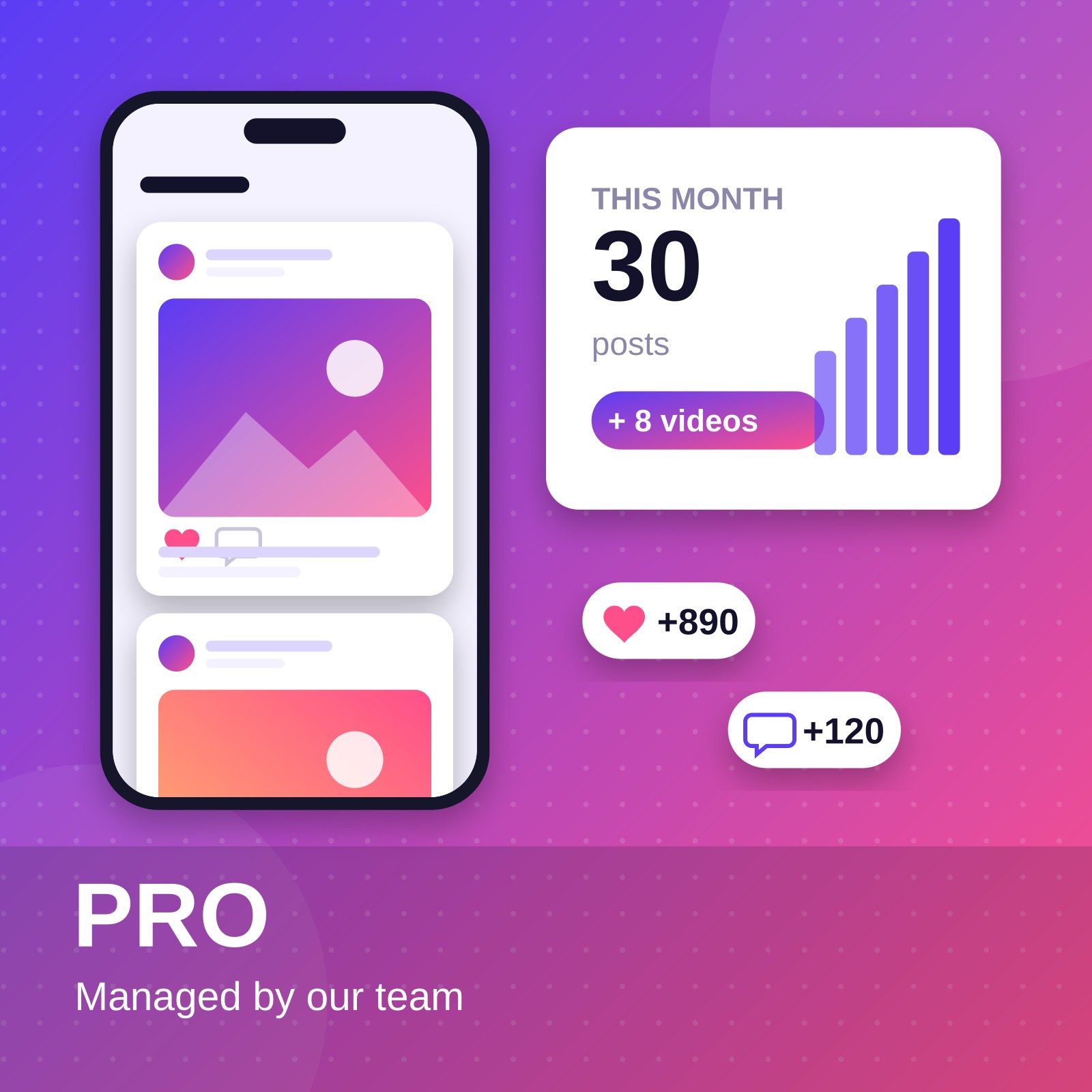 Pro plan: 30 posts and 8 videos a month